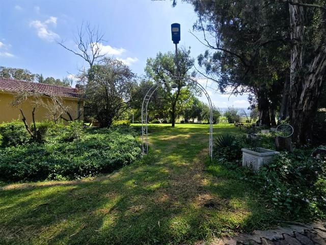 Farm for sale