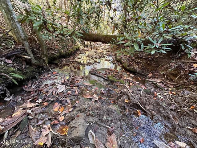 Land for sale in Tennessee