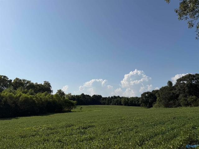 Land for sale in Etowah, Alabama