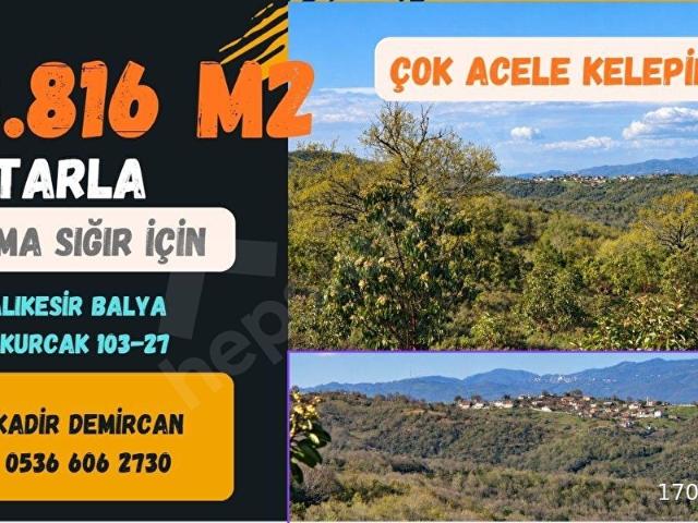 Semiz, Balya içerisinde satılık Arsa