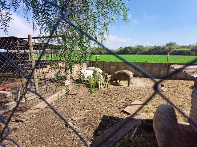Farm for sale in Hartbeespoort Dam Nature Reserve, North West