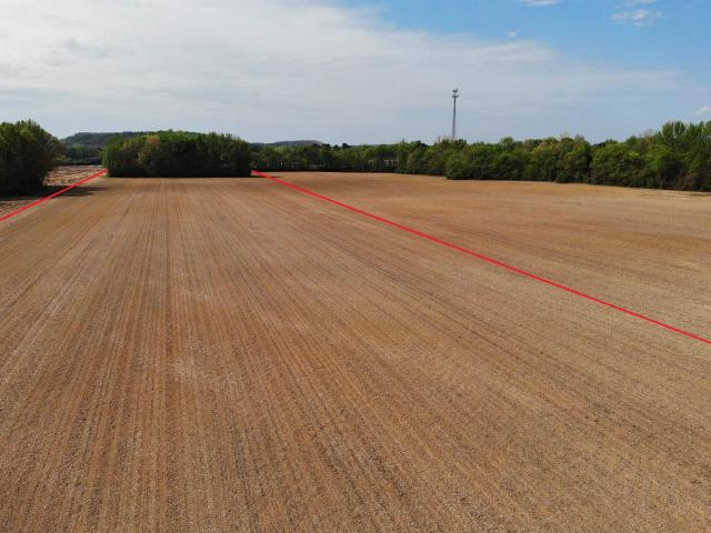 Land for sale in Town Creek, Alabama