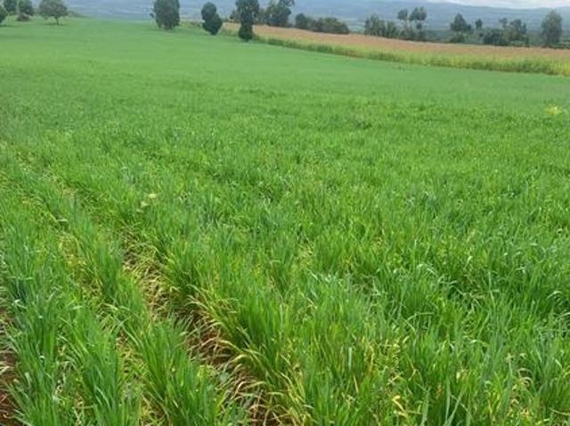 Land for sale in Laikipia