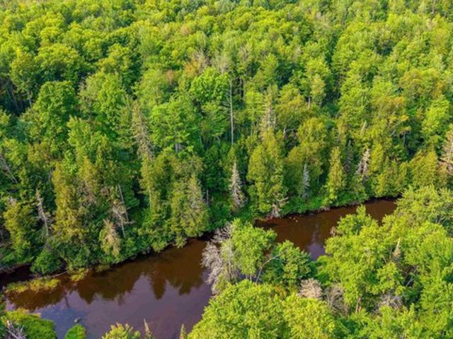 Land for sale in Gwinn, Michigan