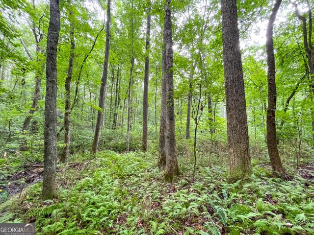 Land for sale in Haralson, Georgia