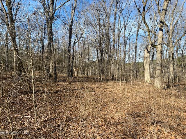Land for sale in Como, Mississippi