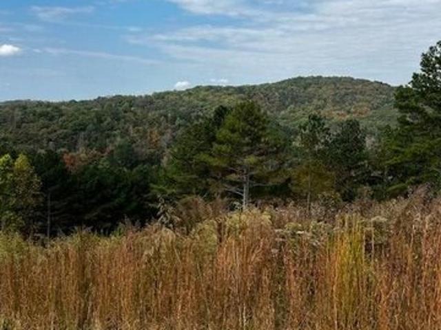 Land for sale in Blairsville, Georgia