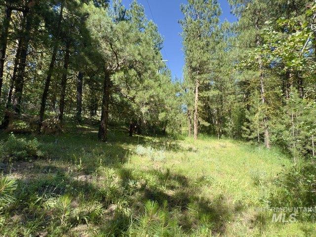 Land for sale in Cascade, Idaho