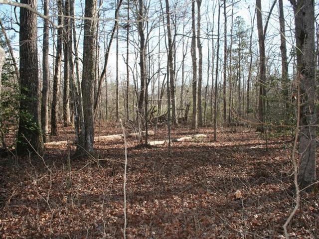 Land for sale in Tennessee
