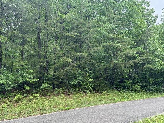 Land for sale in Tennessee