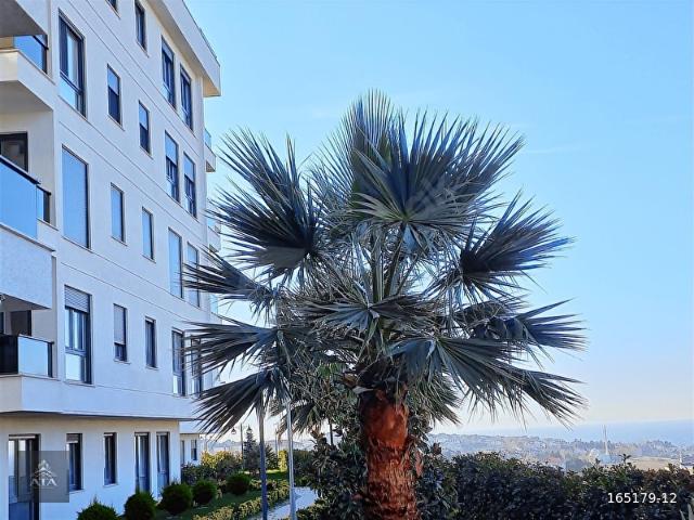 Beylikdüzü, İstanbul içerisinde satılık mülk
