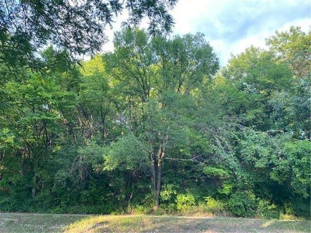 Land for sale in Dayton's Bluff, Saint Paul