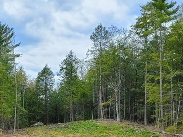 Land for sale in New Hampshire