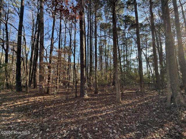 Land for sale in Hertford, North Carolina
