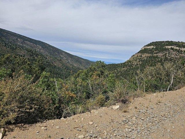 Land for sale in Sandia Park, New Mexico