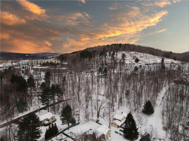 Land for sale in Oneonta, New York