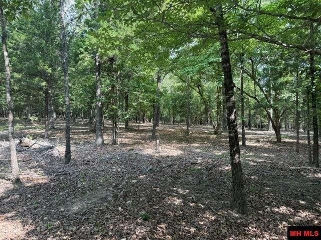 Land for sale in Ark