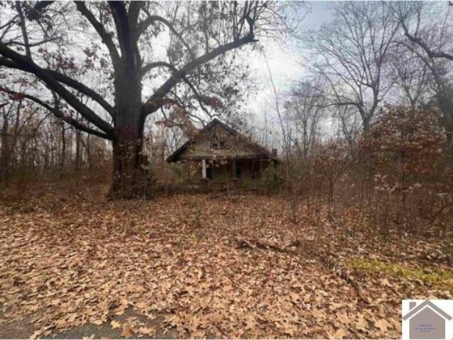 Land for sale in Arlington, Kentucky