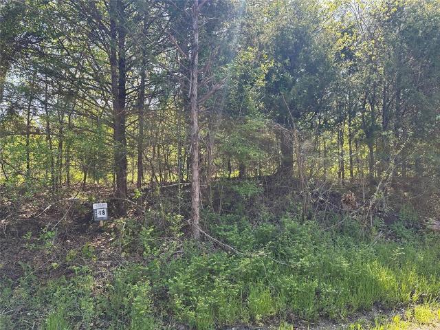 Land for sale in Fannin, Texas