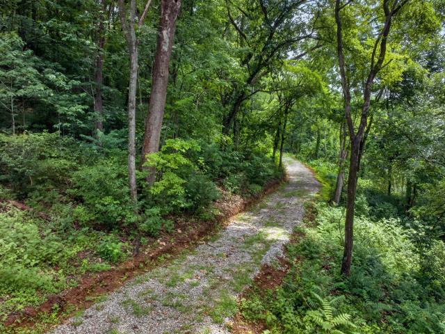 Land for sale in Tennessee