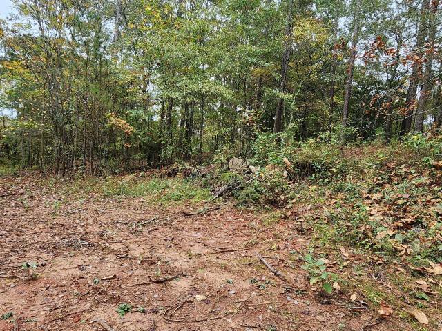 Land for sale in Monticello, Georgia