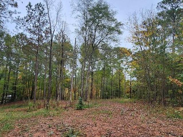 Land for sale in Monticello, Georgia