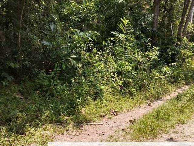 Shop for sale in Pilah, Kuala Pilah