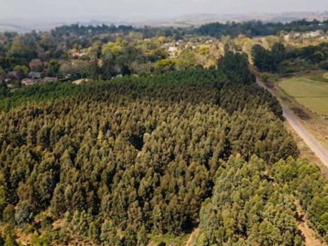 Land for sale in Greytown, Umvoti Local Municipality