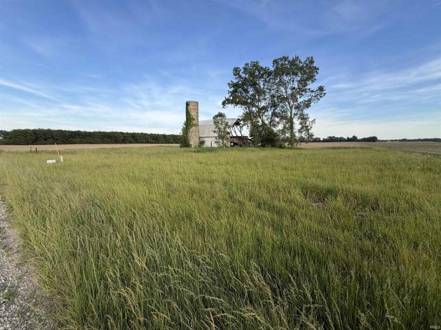 Land for sale in Bryant, Indiana