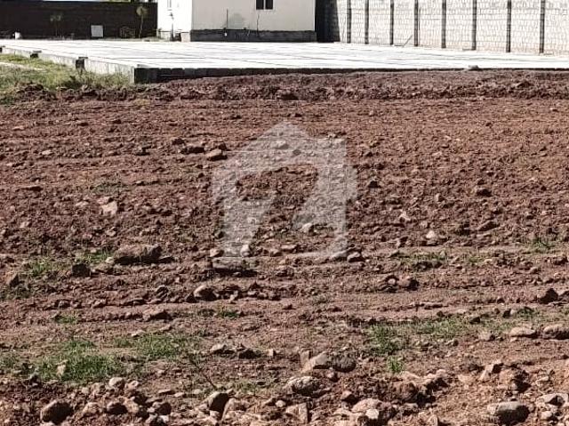Property for rent in اسلام آباد, زون 1