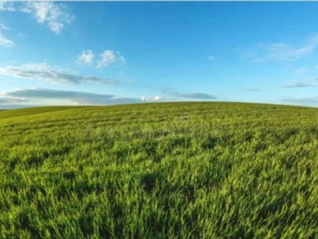 Land for sale in Multan, Islamabad Capital Territory