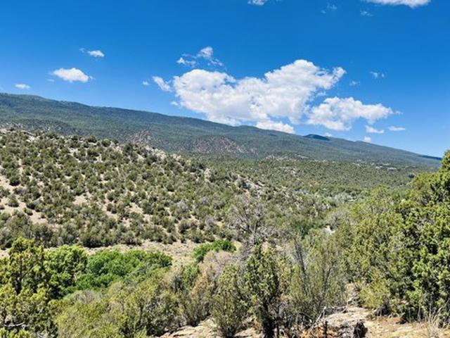 Land for sale in Cedar Crest, New Mexico