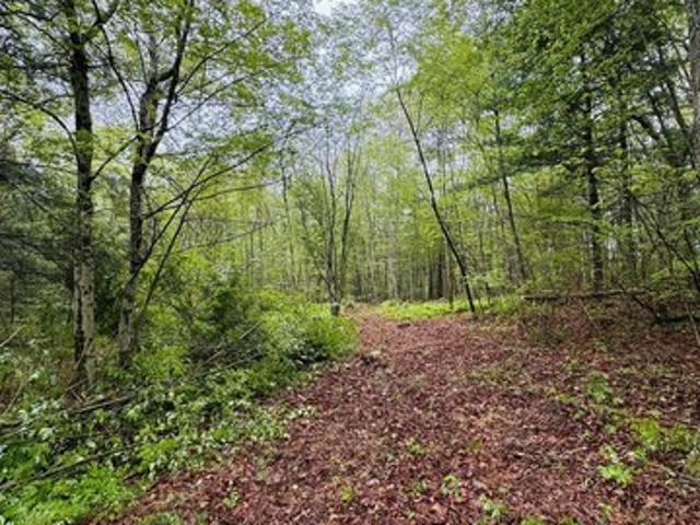 Land for sale in Sterling, Connecticut