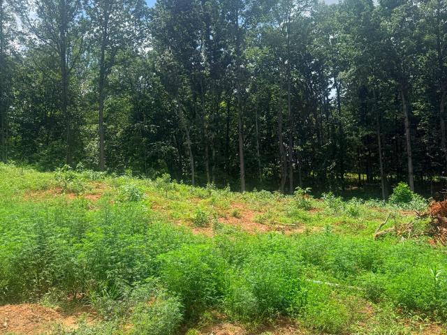 Land for sale in Virginia
