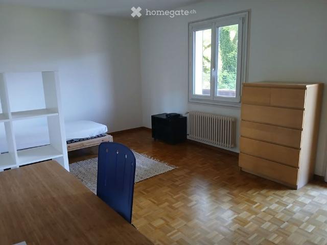 Studio mieten in Chancy