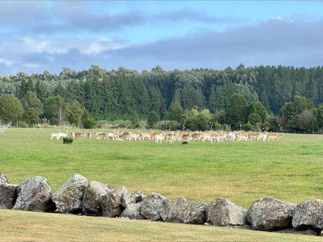 Land for sale in Levels, Canterbury