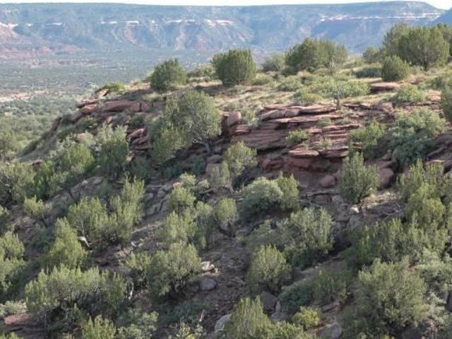 Land for sale in New Mexico