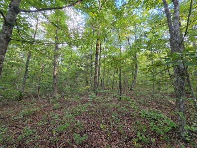 Land for sale in Tennessee