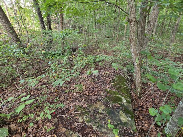 Land for sale in Tennessee