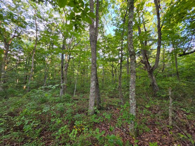 Land for sale in Tennessee