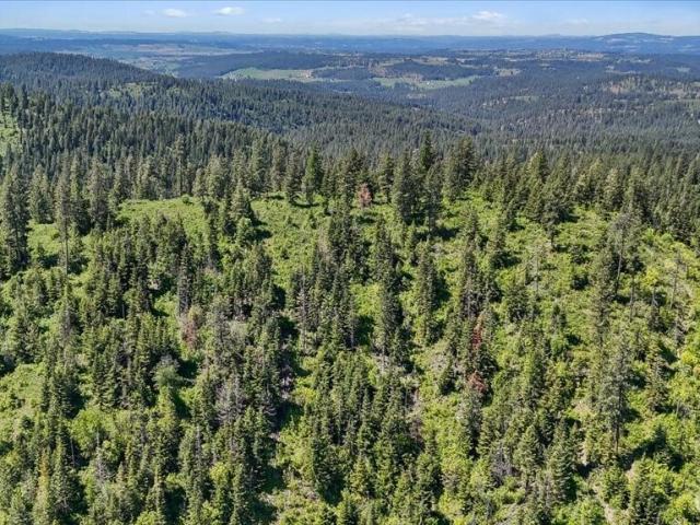 Land for sale in Mead, Washington