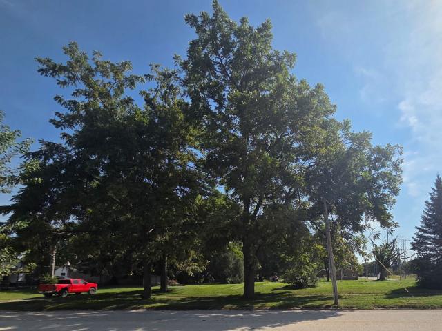 Land for sale in Galva, Henry County