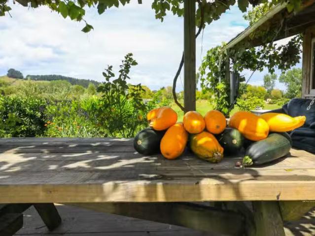 House for sale in Puriri, Waikato