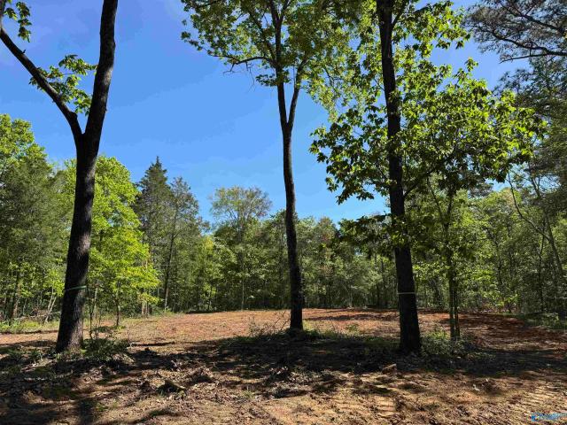Land for sale in Grant, Alabama