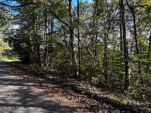 Land for sale in Tennessee