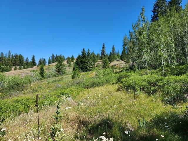 Land for sale in Republic, Ferry County