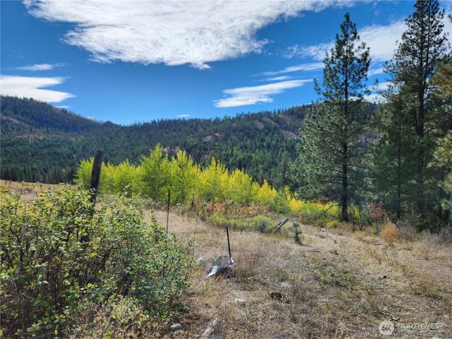 Land for sale in Republic, Washington