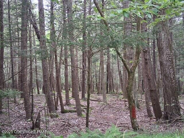 Land for sale in Blakeslee, Pennsylvania