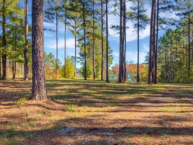 Land for sale in Lincolnton, Georgia