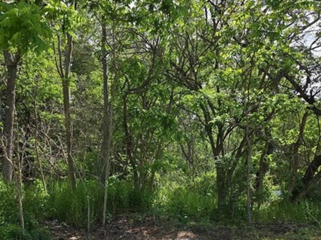 Land for sale in Bridgeton, New Jersey